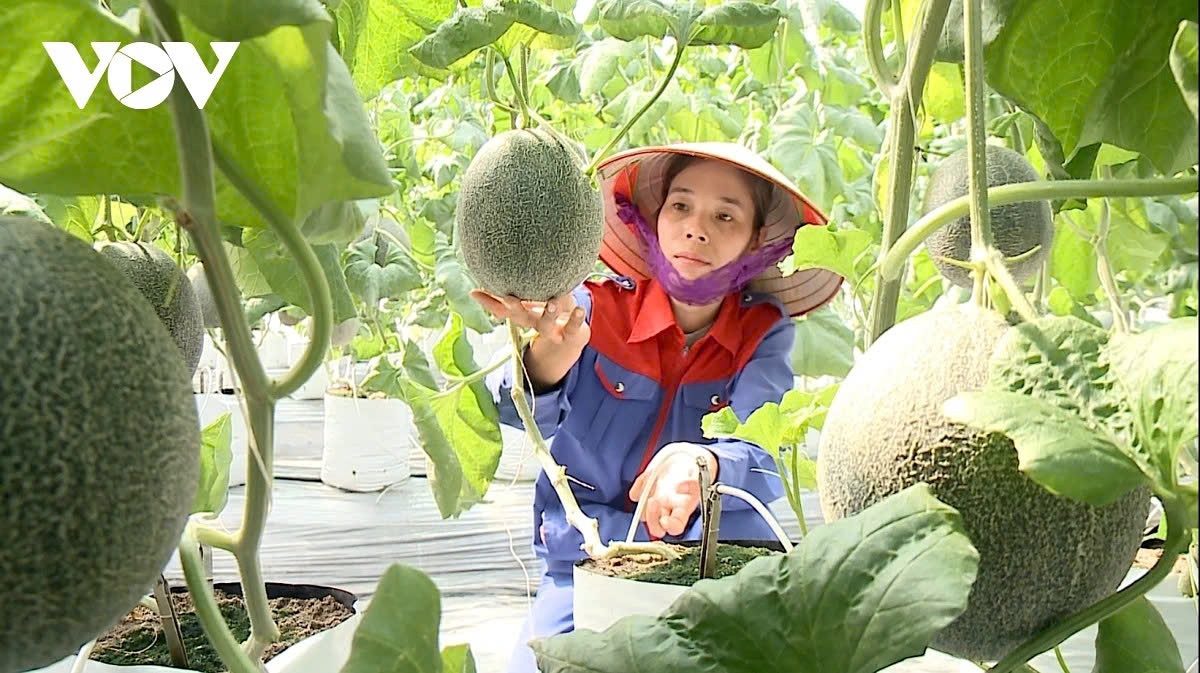 Farmers press for tech support and credit access ahead of PM dialogue